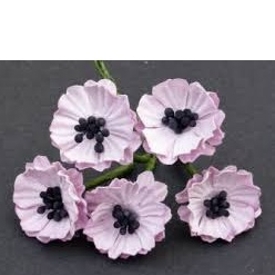 5st. Poppy Flowers, ljusrosa