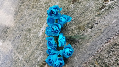 Rosor, 12pack, blå