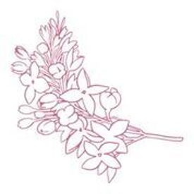 Lilacs Mini Stamp